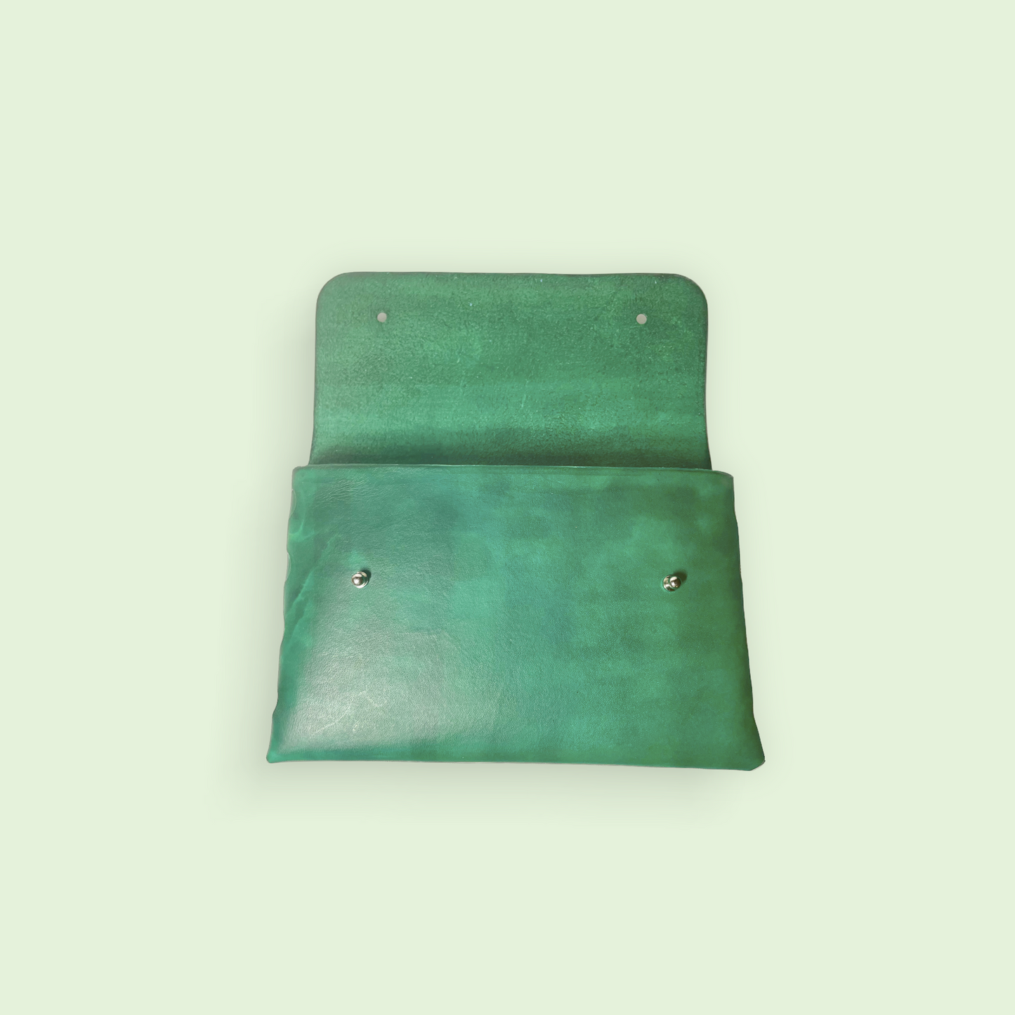 Emerald Nicole Clutch Hadbag